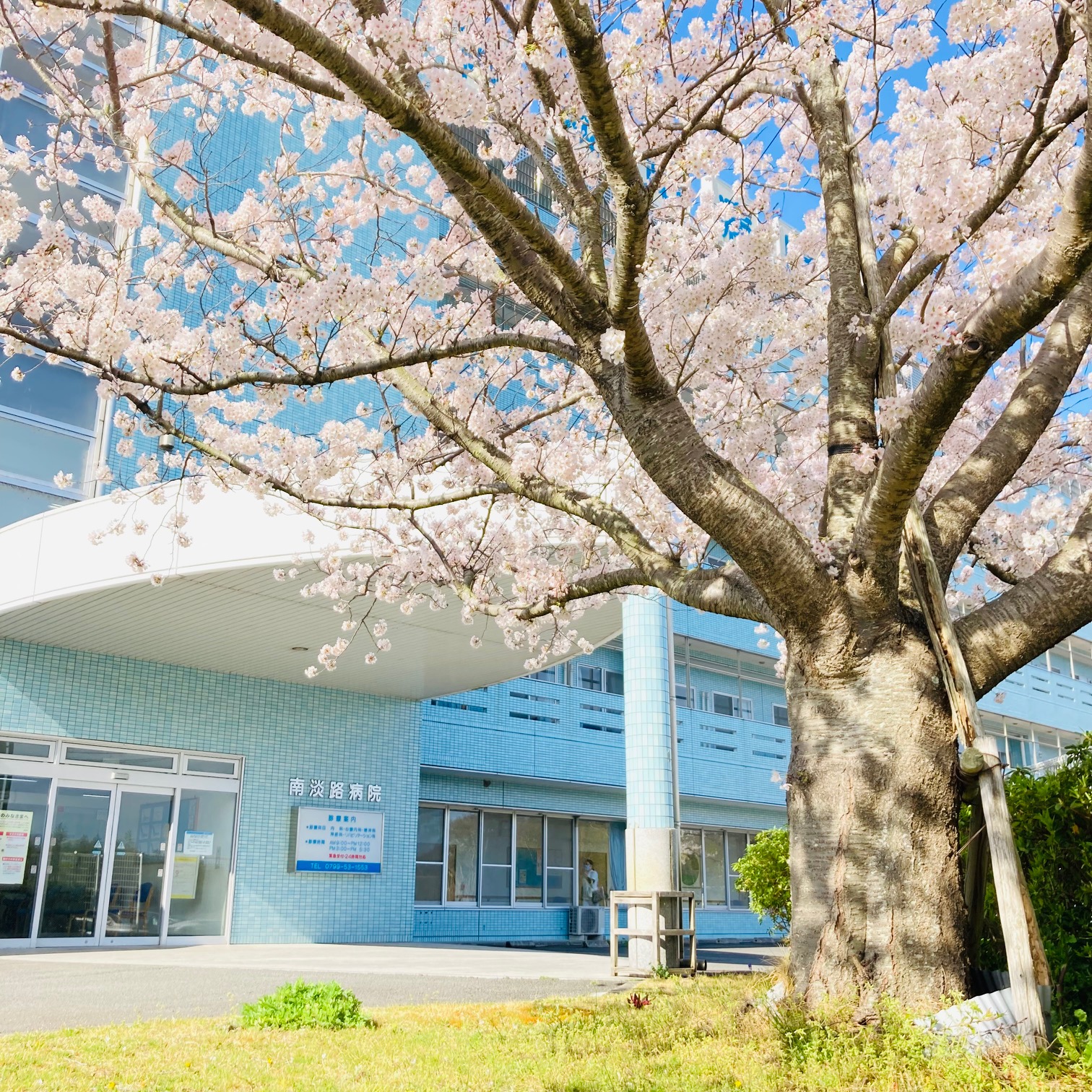 フレッシャーズ👨‍💼👩‍💼✨